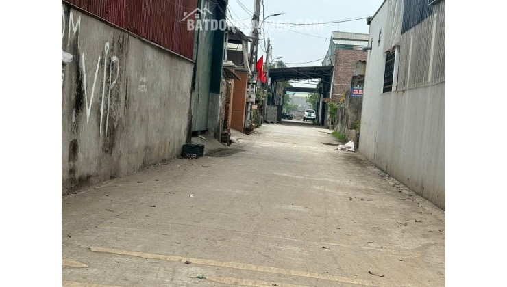  Bán 84m đất đấu giá Bến Trung, Bắc Hồng - Cạnh đường QH 40m